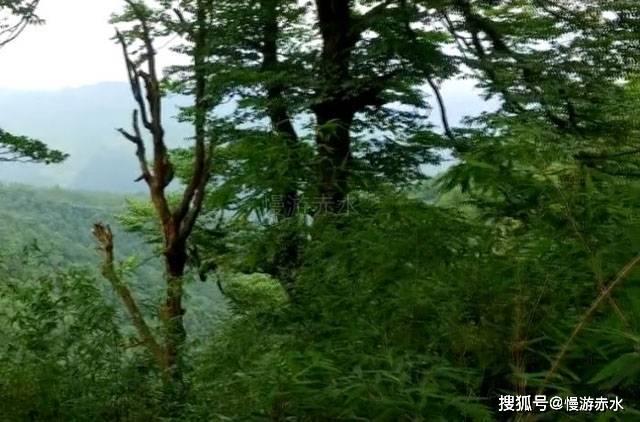 逃离快乐小镇