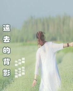 新高达破坏者