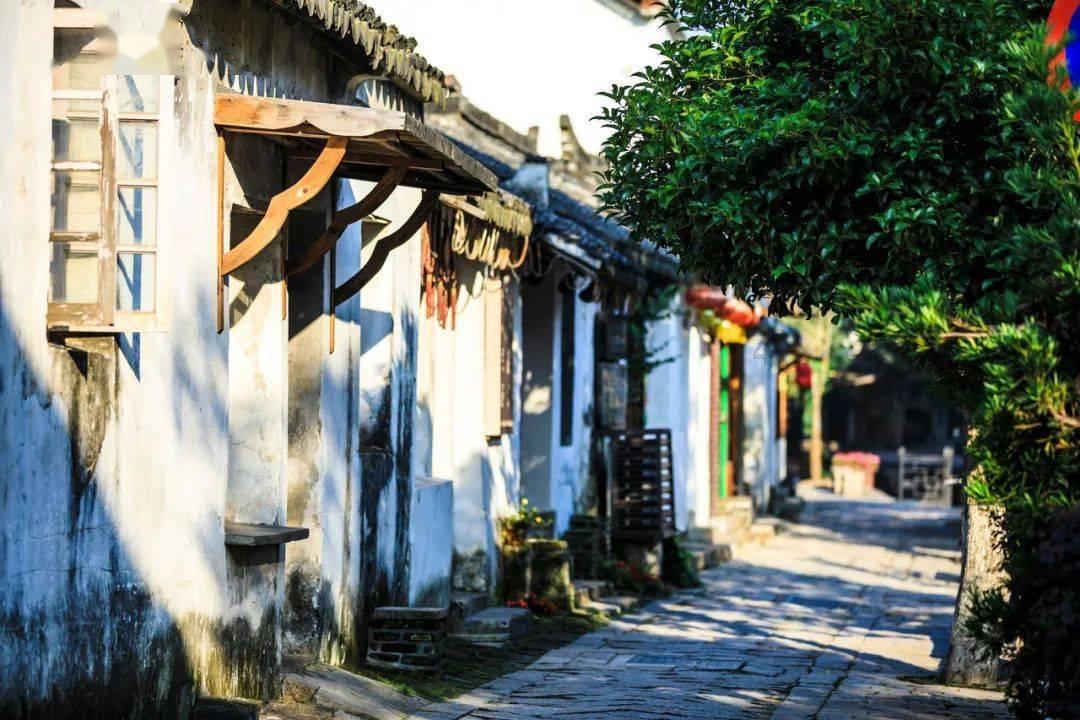 生化危机启示录2